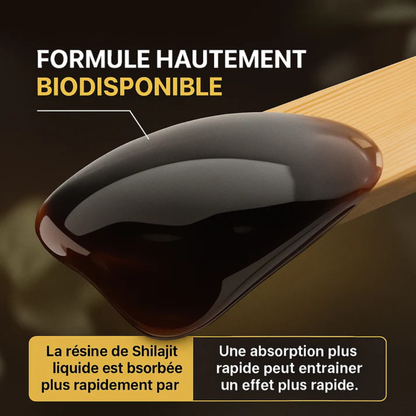 Shilajit Gold